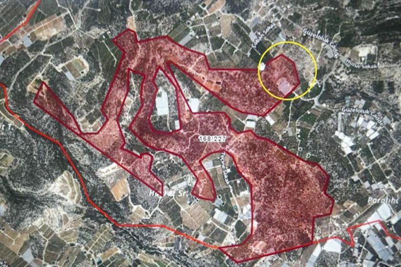 Mersin�de Diyanet�e ormanl�k alanda yer tahsisi...