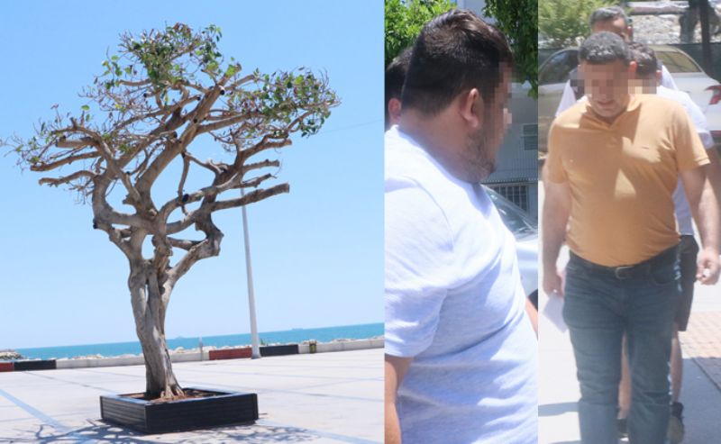 Bykehir alanlarna aa katliam davas...