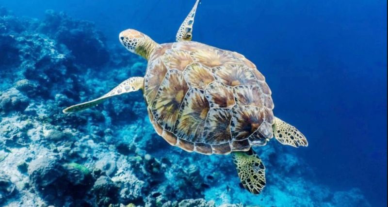 Felaket kap�m�zda: Mersin�e uyar�!...