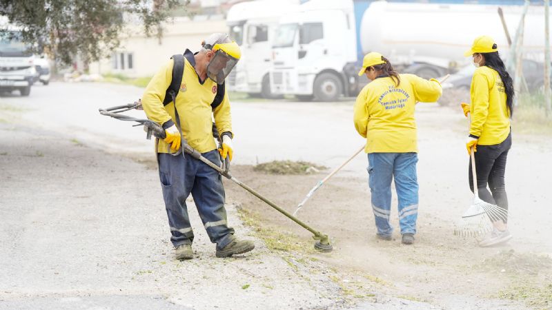 Tarsusta bahar temizlii seferberlii var...