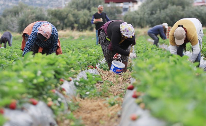 Belediyeler iftiye  destek vermeli...