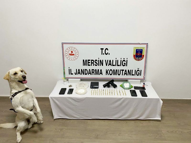 Jandarmandan uyuturucu operasyonu...