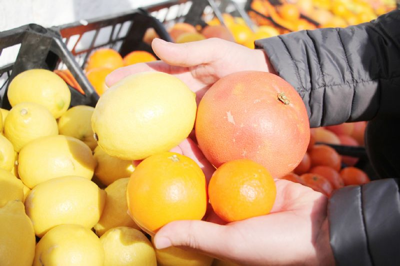 Mandalina, limon ve portakal  ihracatta yzleri gldrd...