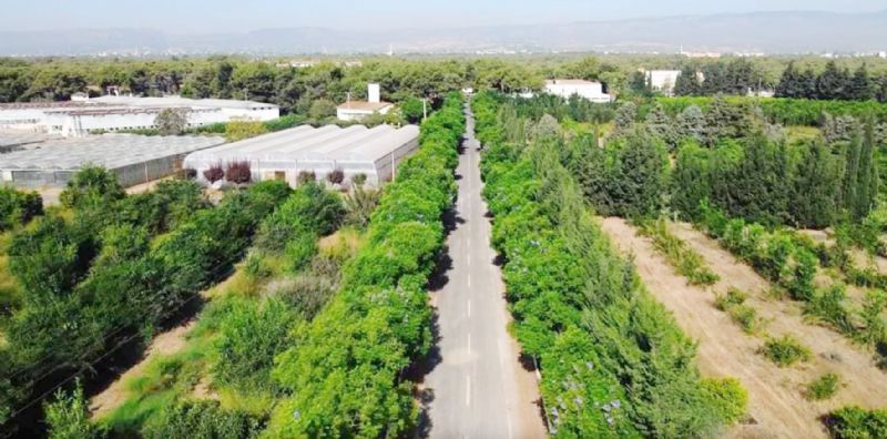 Haydi Mersin Alata�da bulu�al�m!...