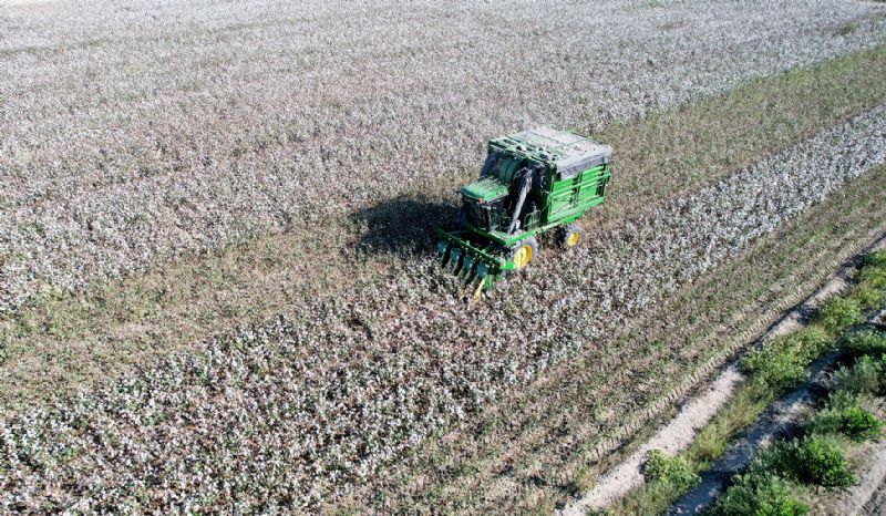 ���z�m �retilmezse, �retimden vazge�en �ok fazla �retici g�r�r�z�...