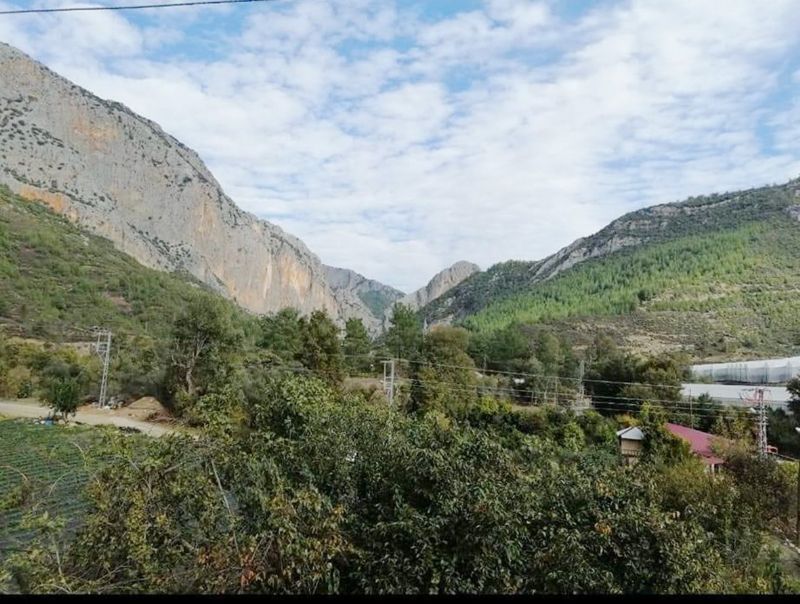 Yarg� eliyle kovulan firmalar bakanl�k deste�iyle geri geldiler!...