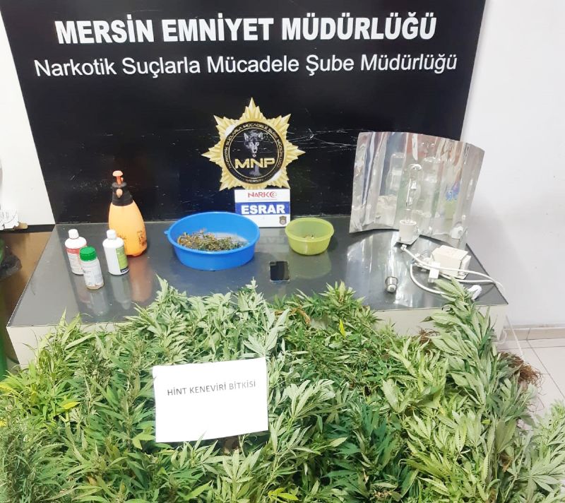 Balkonu uyuturucu  bahesine evirmiler...