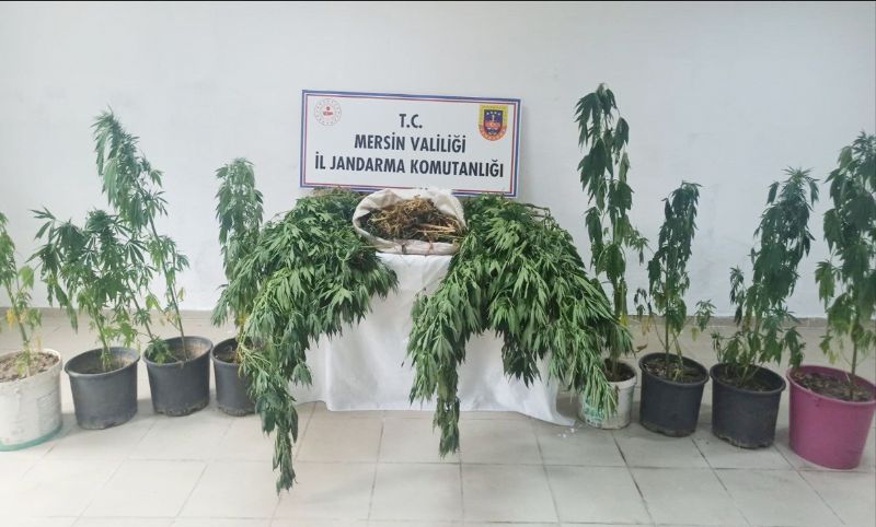 4 il�ede uyu�turucu operasyonu...