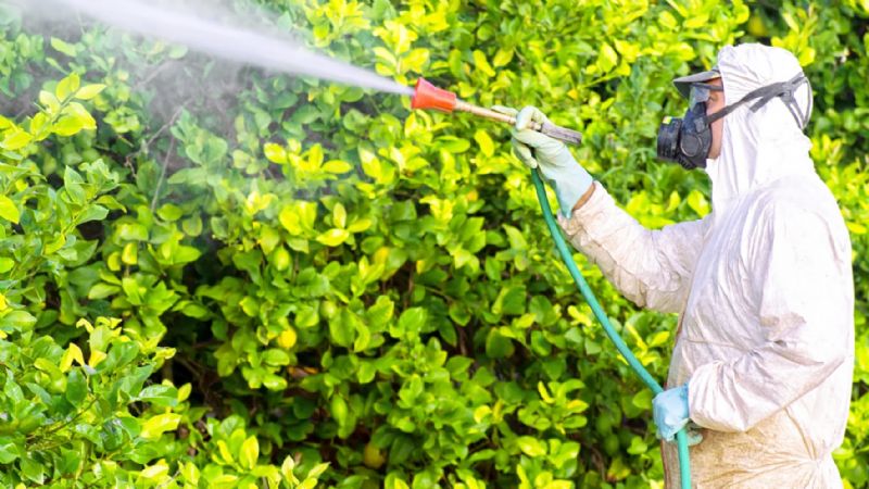 Mersinde B-Reete dnemi balyor!...