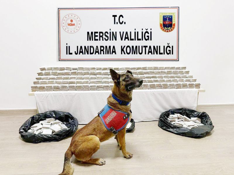 Jandarmadan kaak makarona sust...