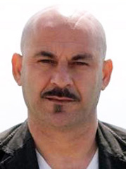 Ali anl